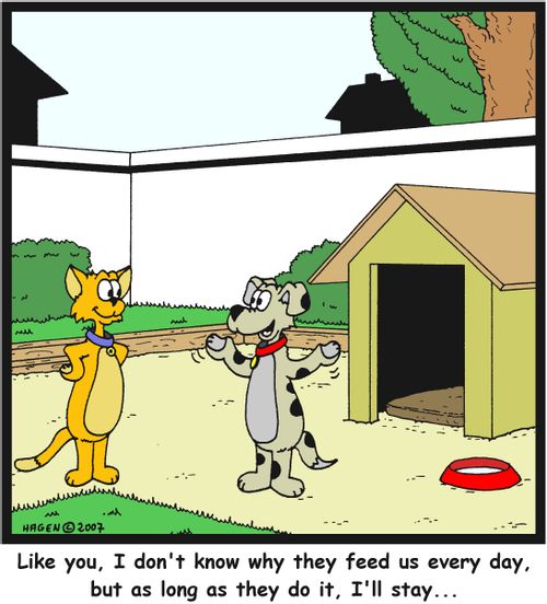 'Like you, I don't know why they feed us every day, but as long as they do it, I'll stay...'