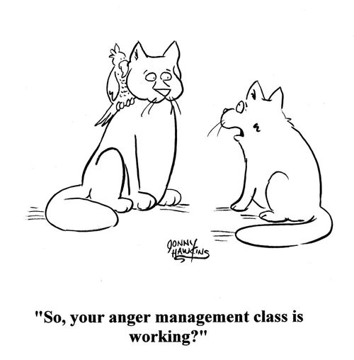 'So, your anger management class is working?'