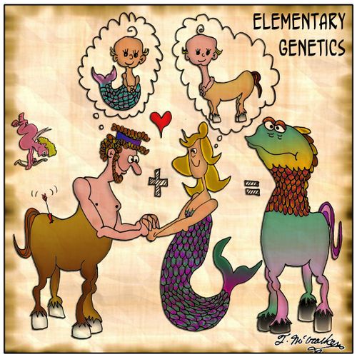 Elementary Genetics