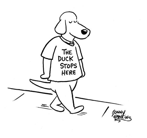 Dog wears t-shirt: 'The Duck Stops Here'