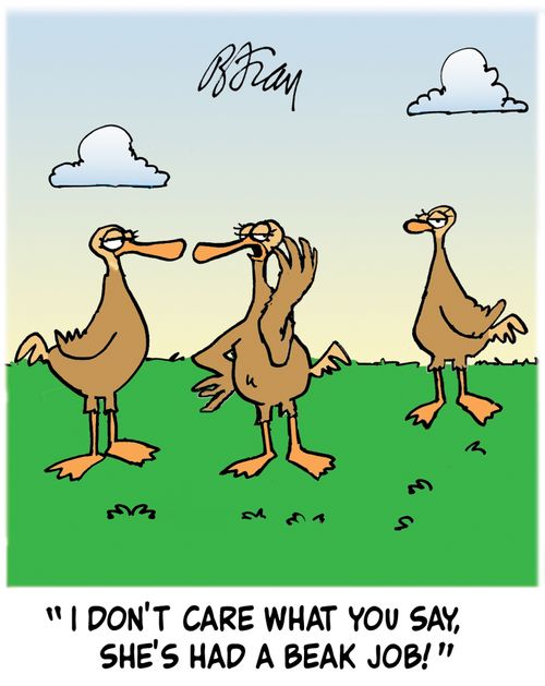 ' I don't care what you say, she's had a beak job!'