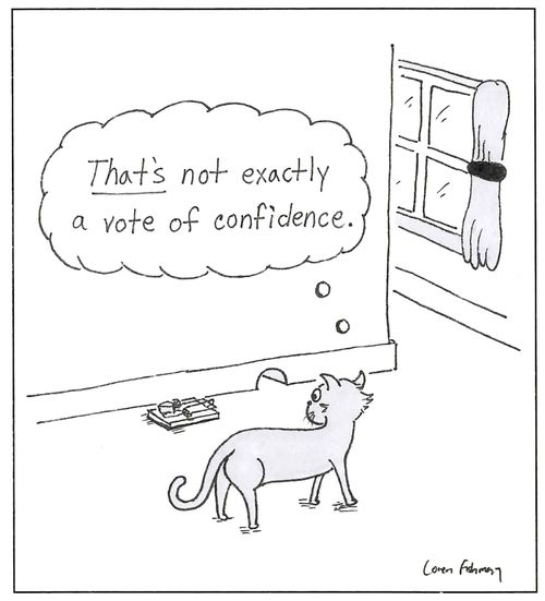 'That's not exactly a vote of confidence.'