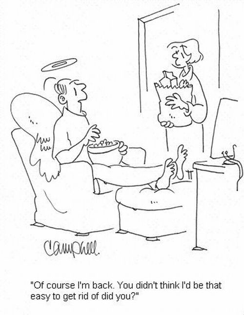 'Of course I'm back. You didn't think I'd be that easy to get rid of did you?'