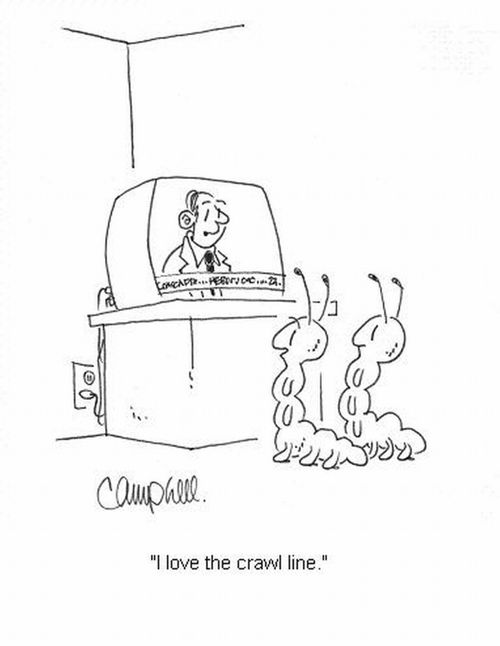 'I love the crawl line.'