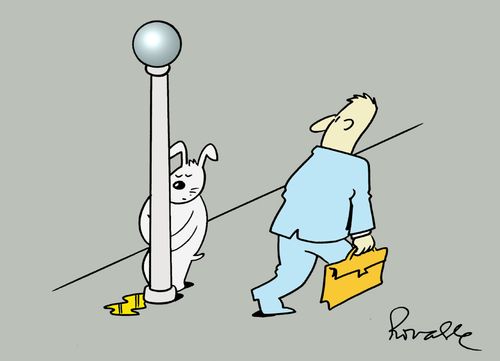 Dog urinating standing up.
