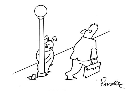 Dog Urinating Against The Lamp Post.