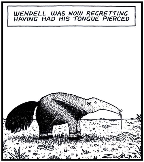 Wendell was now regretting having had his Tongue pierced.