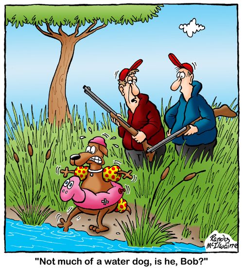 'Not much of a water dog, is he, Bob?'