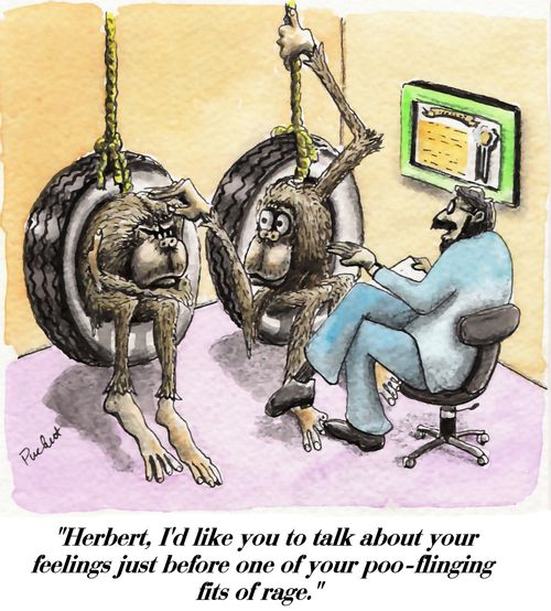 an ape is at therapy.The therapists says to him: 'Herbert, i'd like you to talk about your feelings just before one of your poo-flinging fits of rage.'