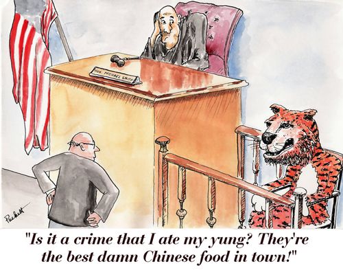 'Is it a crime that I ate my yung? They're the best damn Chinese food in town!'
