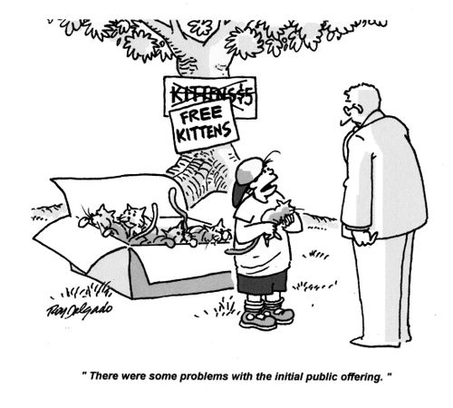 'There were some problems with the initial public offering.'