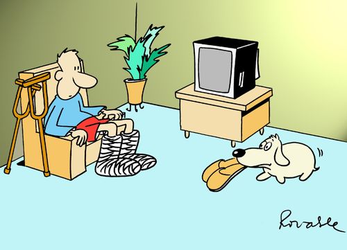 Dog fetching slippers for a man in leg casts.