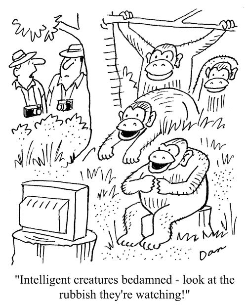 'Intelligent creatures bedamned - look at the rubbish they're watching!'