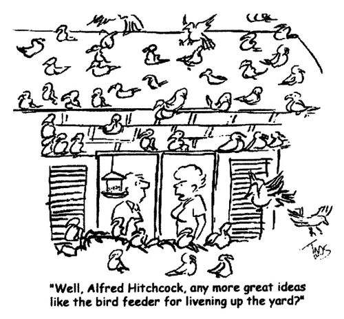 'Well, Alfred Hitchcock, any more great ideas like the bird feeder for livening up the yard?'