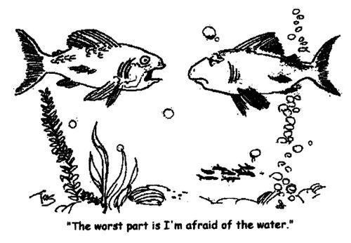 'The worst part is I'm afraid of the water.'