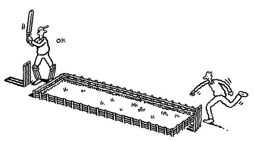 Miniature cricket pitch.