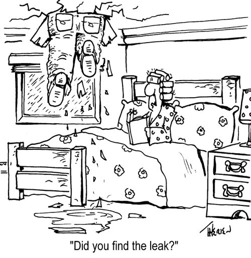 Man falls through ceiling - 'Did you find the leak?'