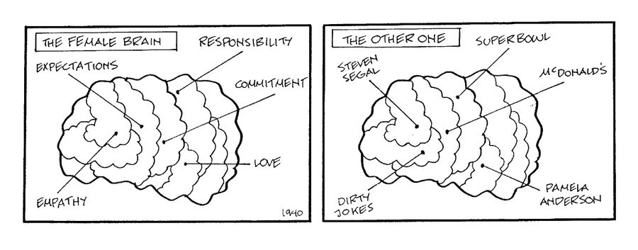 The Female Brain and The Other One