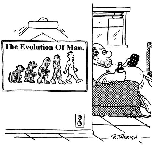 The Evolution Of Man