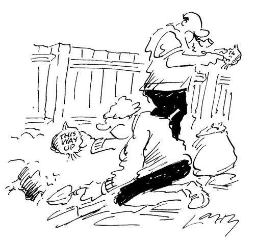 Planting bulbs