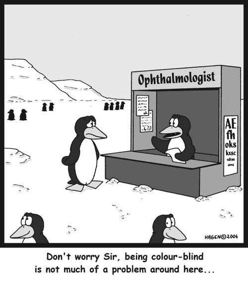 'Don't worry Sir, being colour-blind is not much of a problem around here...'