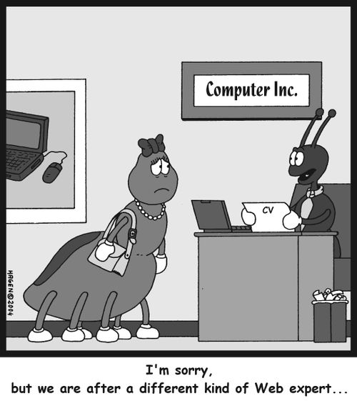 'I'm sorry, but we are after a different kind of Web expert...'