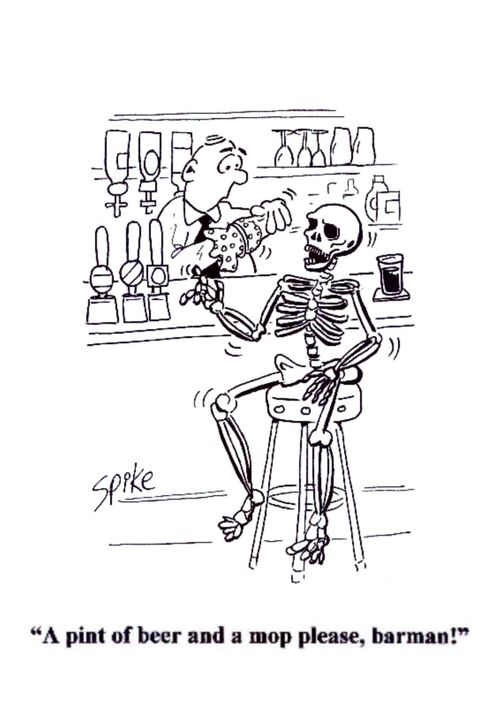 'A pint of beer and a mop please, barman !'