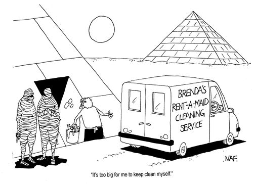 'It's too big for me to keep clean myself.'