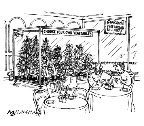 Vegetarian restaurant - Choose your own vegetables.