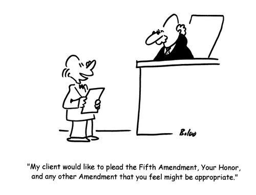 'My client would like to plead the Fifth Amendment, Your Honor, and any other Amendment that you feel might be appropriate.'