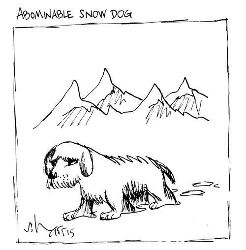 Abominable Snow Dog.