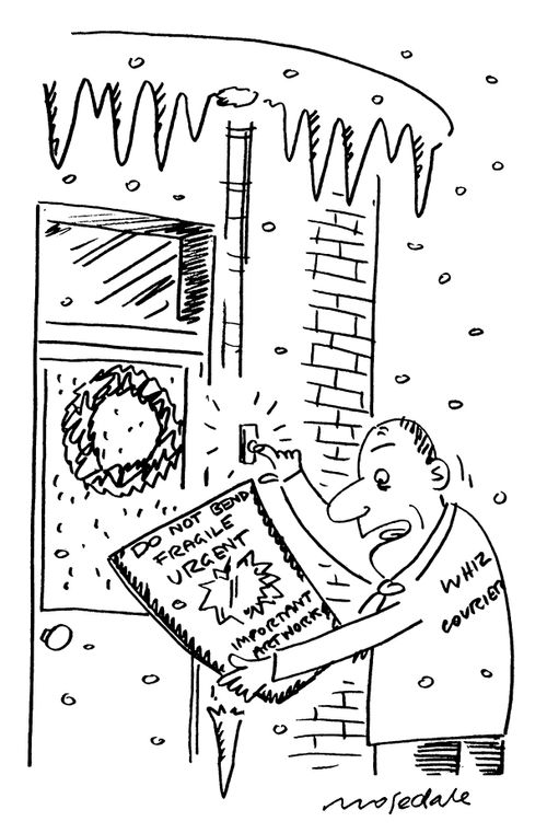 Urgent parcel delivery destroyed by falling icicle.