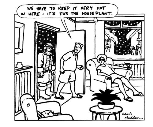 "We have to keep it very hot in here - it's for the houseplant."