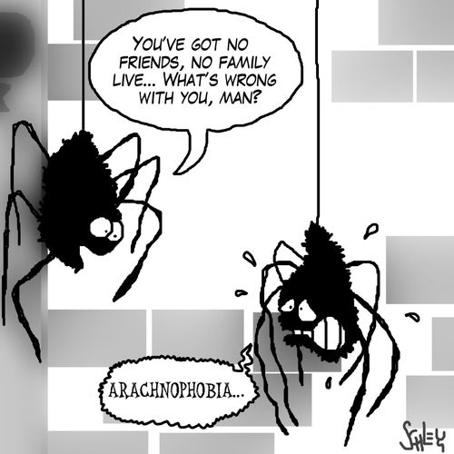 Arachnophobia.