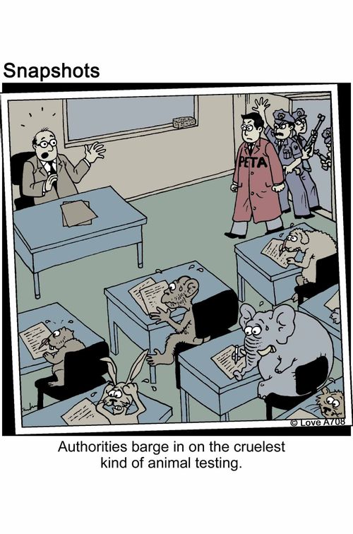 Authorities barge in on the cruelest kind of animal testing.