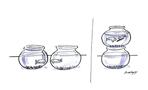 Fish Friendships.