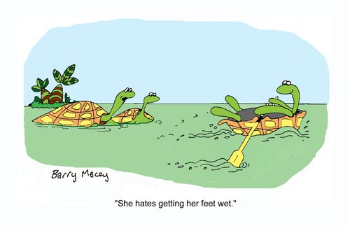 'She hates getting her feet wet.'