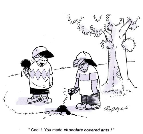 'Cool! You made chocolate covered ants.'