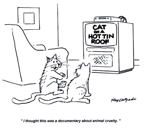 'I thought this was a documentary about animal cruelty.'