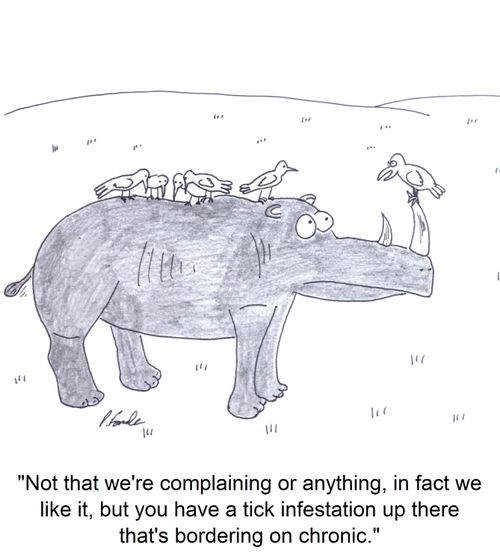 'Not that we're complaining or anything, in fact we like it, but you have a tick infestation up there that's bordering on chronic.'