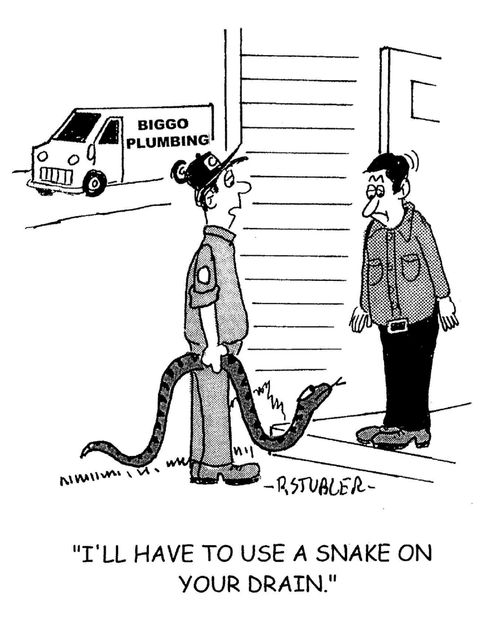 'I'll have to use a snake on your drain.'