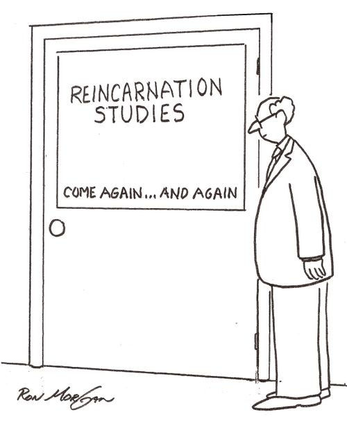 Door sign states: Reincarnation studies Come again ... and again.