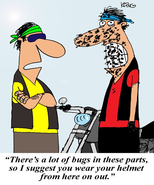 'There's a lot of bugs in these parts, so I suggest you wear your helmet from here on out.'