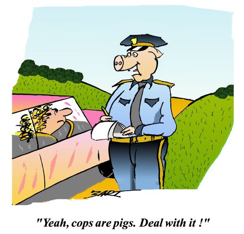 Cops are pigs. Deal with it.