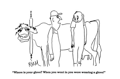'Where is your glove?  When you went in you were wearing a glove!'