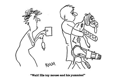 'Wait!  His toy mouse and his yummies!'