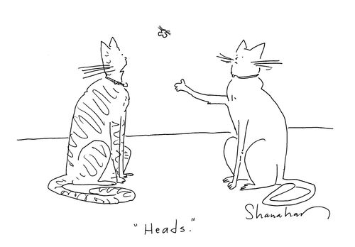 Cats tossing a mouse.