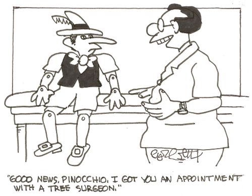 'Good news, Pinocchio, I got you an appointment with a tree surgeon,'