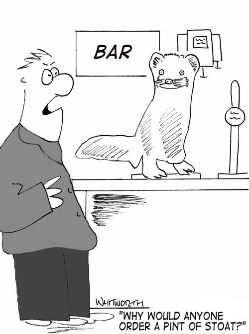 'Why would anyone order a pint of stoat?'