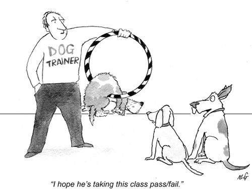 'I hope he's taking this class pass/fail.'